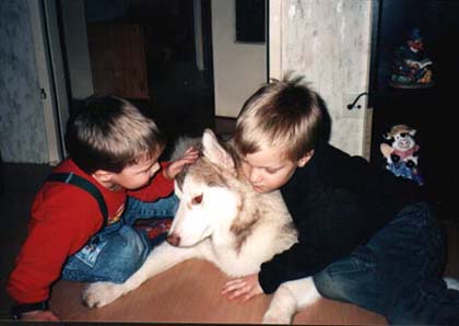 Link to Breeder / Z&uuml;chter / Eleveur