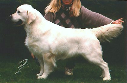 Link to Breeder / Z&uuml;chter / Eleveur