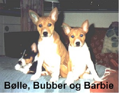 Link to Breeder / Z&uuml;chter / Eleveur