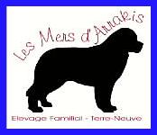Link to Breeder / Z&uuml;chter / Eleveur