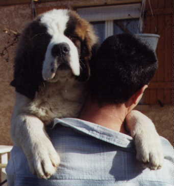 Link to Breeder / Z&uuml;chter / Eleveur