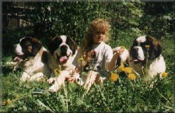 Link to Breeder / Z&uuml;chter / Eleveur