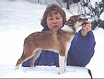 Link to Breeder / Z&uuml;chter / Eleveur