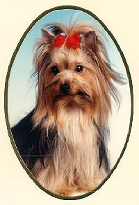 I'm Bonita, the sister of Baby Balue