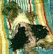 Yorkshire Terrier Waikiki Lady
